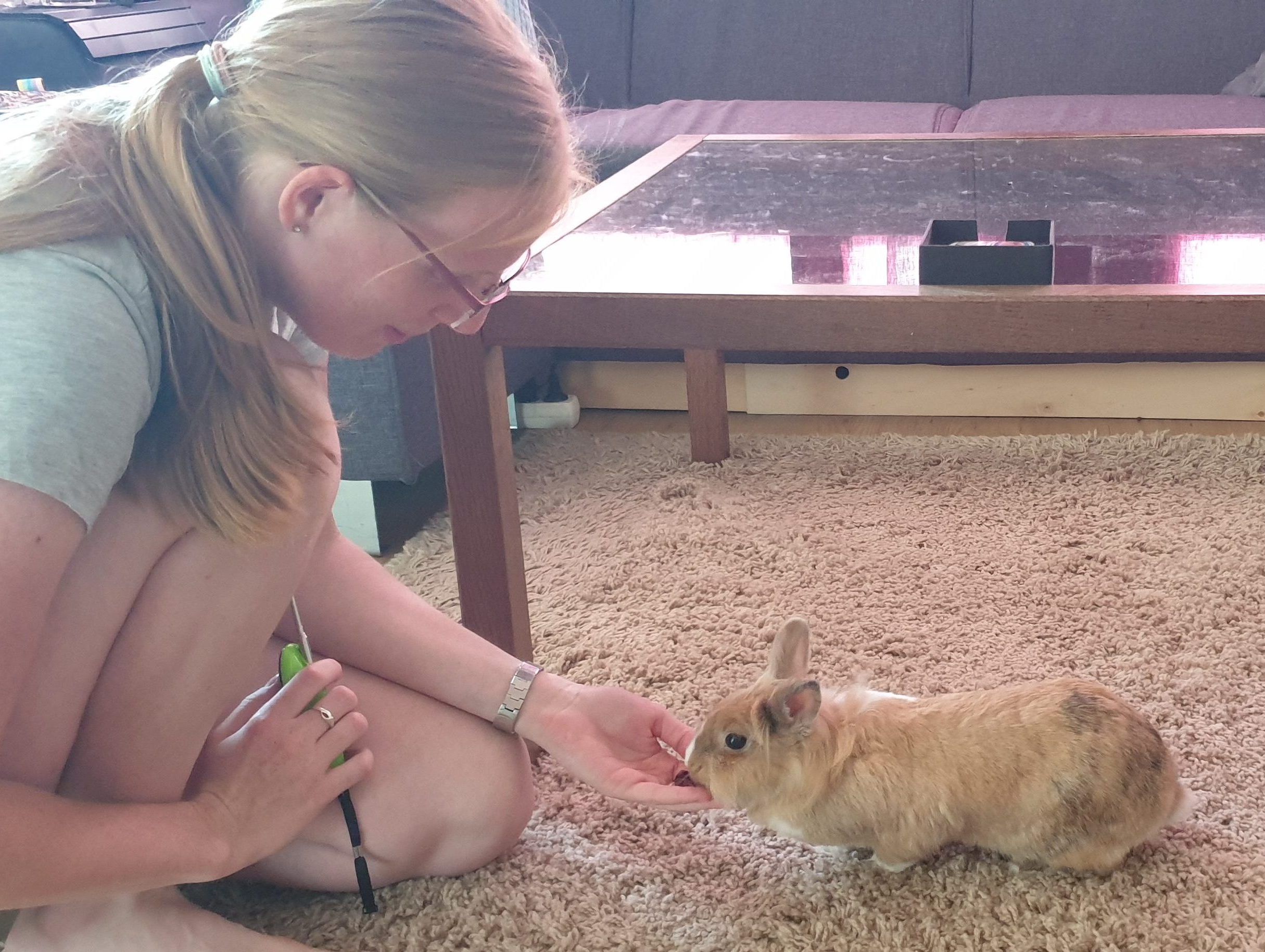 Elora & Koko trainen