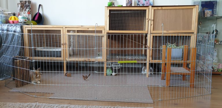 Konijnenhok voor twee konijnen