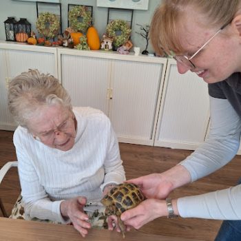 2024-10-28_Risdamhuis1