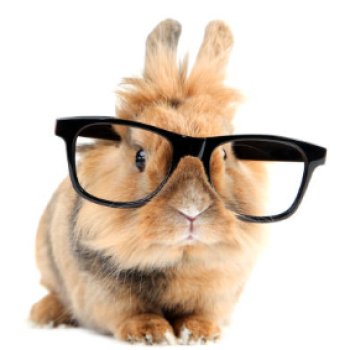 Konijn met bril